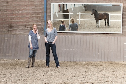foto_equicoaching