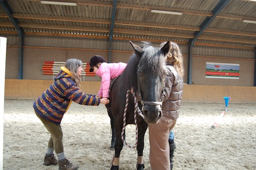 foto_fysiotherapie