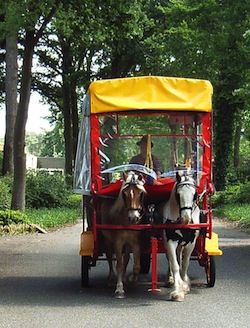 foto_huifbed_rijden