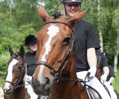foto_ruiter