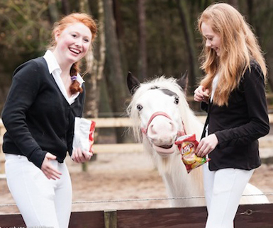 Maxima Manege Kerstwedstrijden 2012